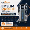 EMSlim Profit Margins: What Does Each Session Actually Cost to Deliver?