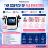 How to Price Cryolipolysis Treatments: A Clinic Owner's Guide to Maximising Revenue