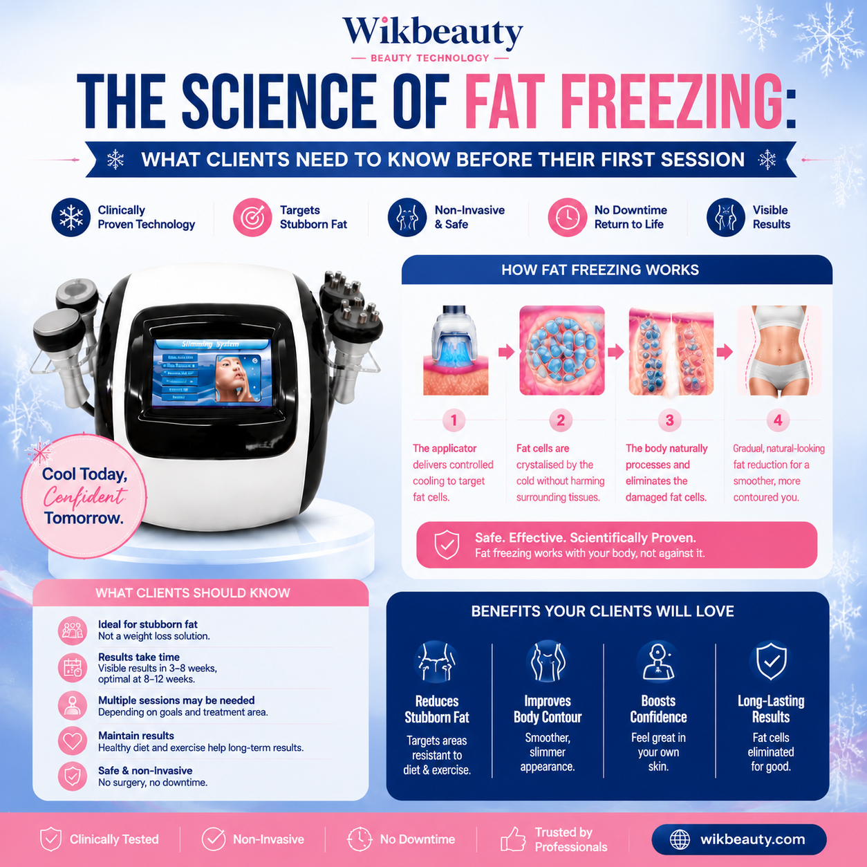How to Price Cryolipolysis Treatments: A Clinic Owner's Guide to Maximising Revenue