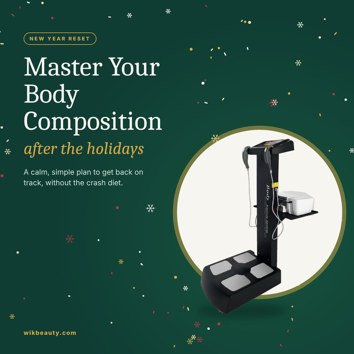 Master Your Body Composition After the Holidays