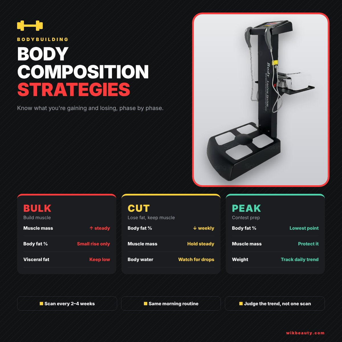 Body Composition Strategies for Bodybuilders