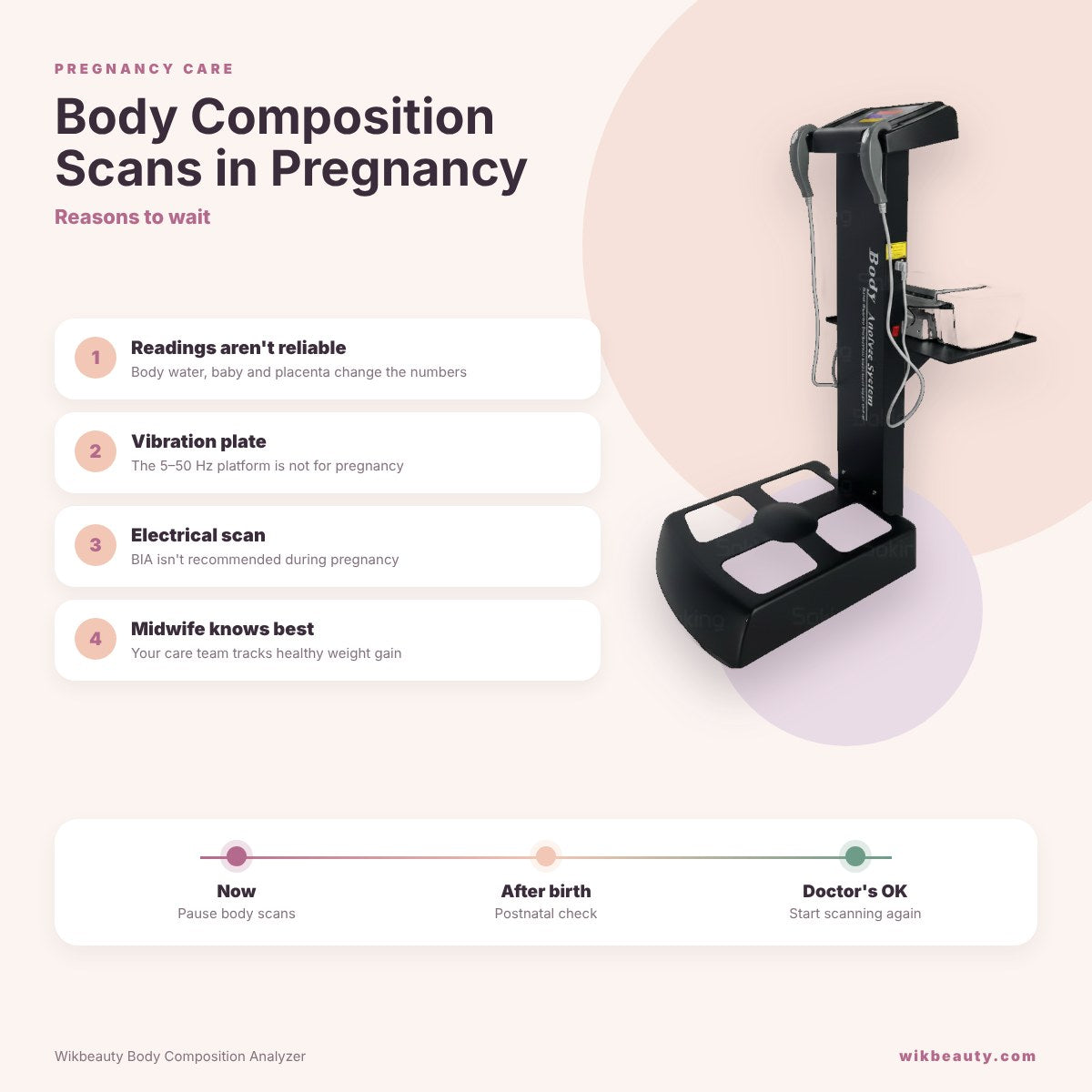 Body Composition Scans in Pregnancy: Reasons to Wait