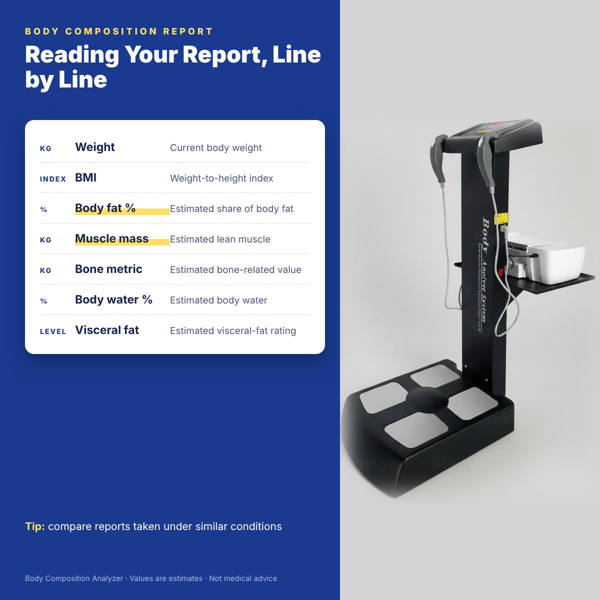 Mastering Body Composition Reports: A Line-by-Line Guide