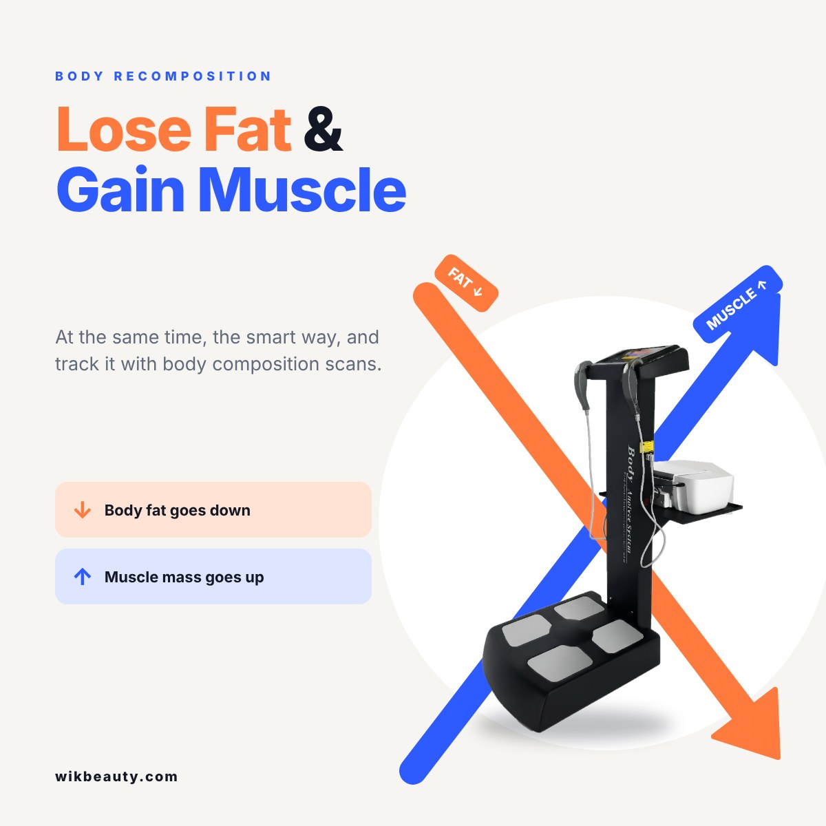 Effective Body Recomposition: Lose Fat & Gain Muscle