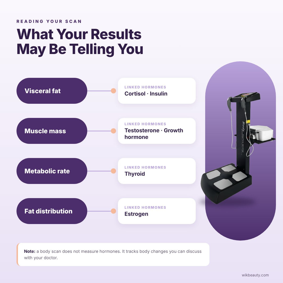 Hormonal Balance and Body Composition: Key Insights