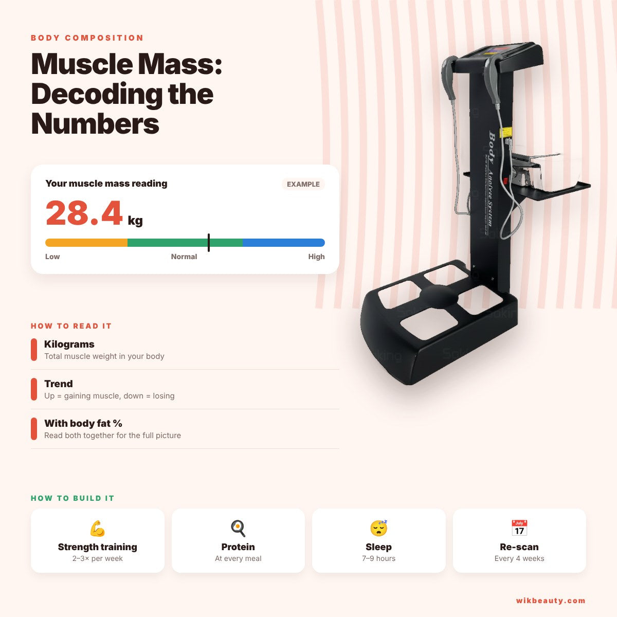 Skeletal Muscle Mass: Decoding the Numbers