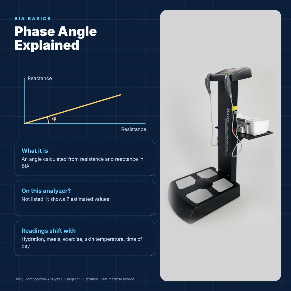 Phase Angle Explained: Insights for BIA & Electrical Systems