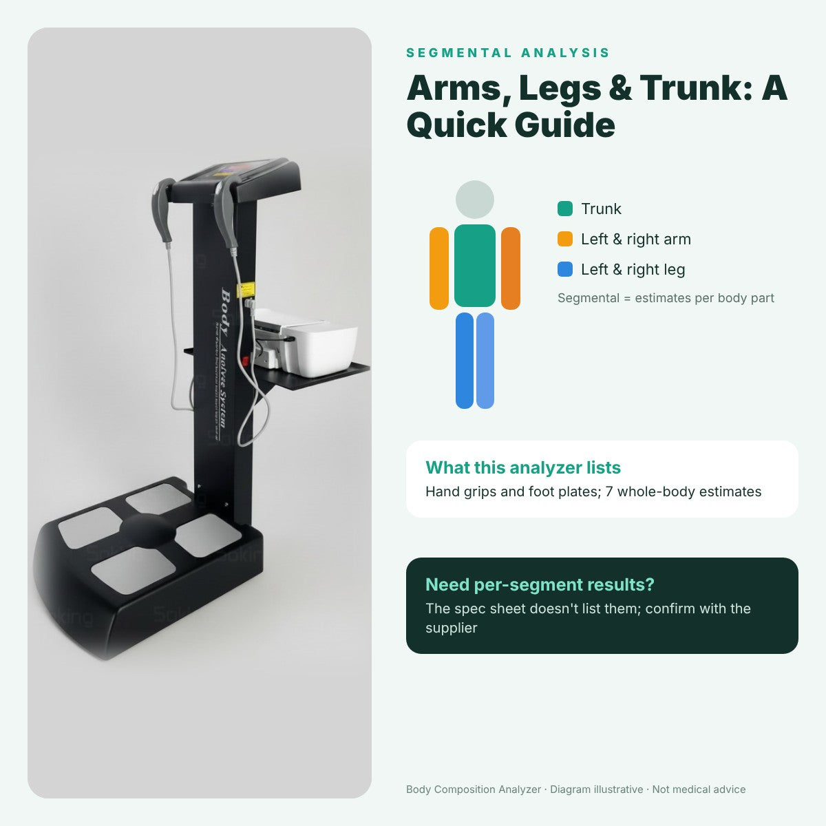 Segmental Analysis: Arms, Legs & Trunk Guide