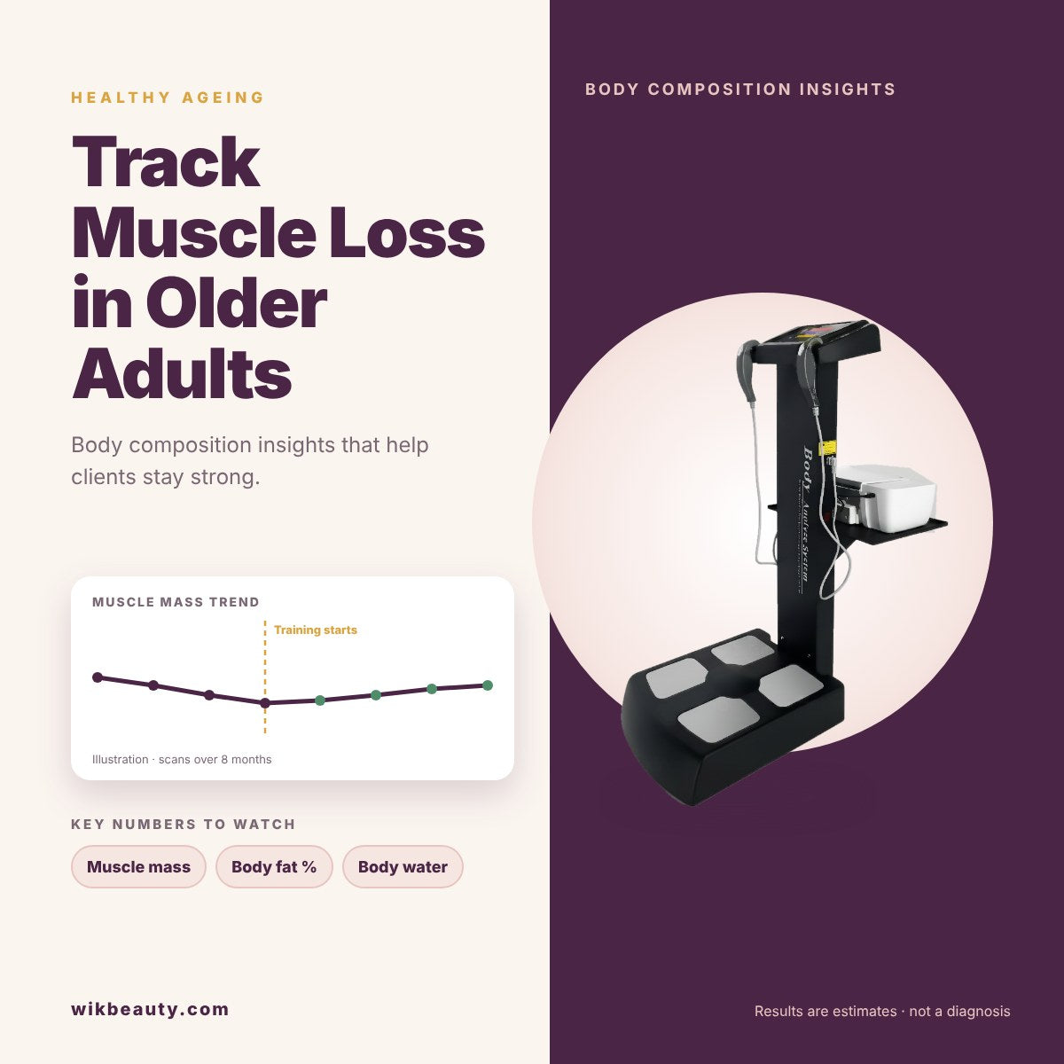 Track Muscle Loss in Older Adults: Body Composition Insights
