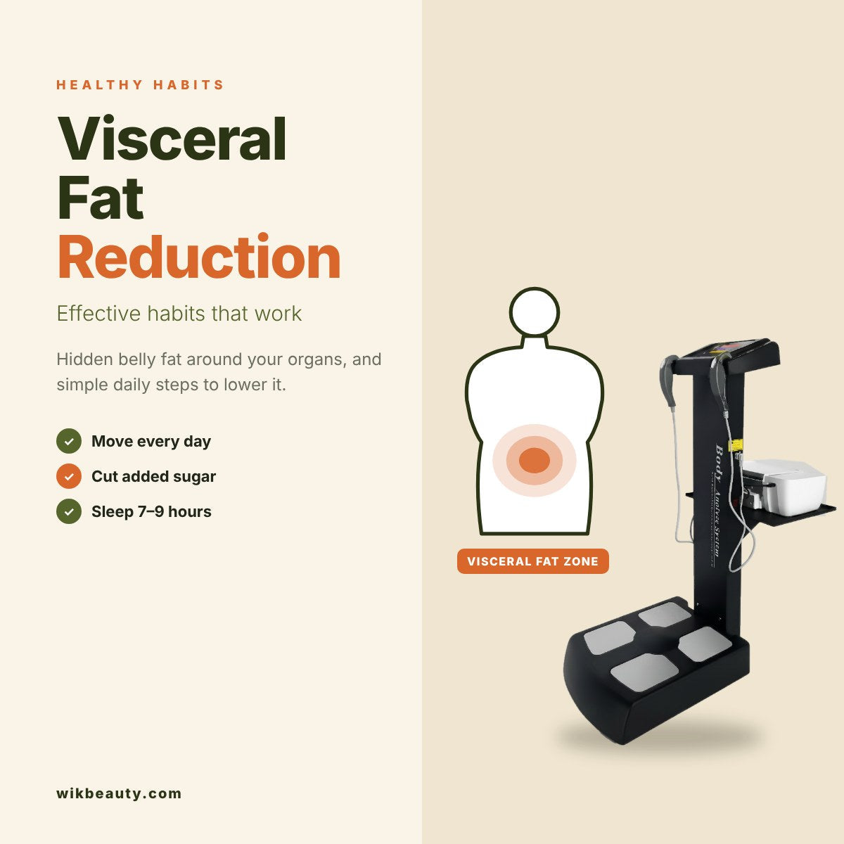 Visceral Fat Reduction: Effective Habits That Work